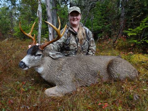 How To Have A Successful Sitka Black Tailed Deer Hunt Precisionoutdoors