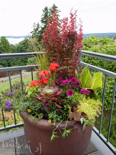 25 Most Beautiful Container Garden Combination Ideas Youll Love