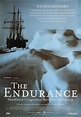 The Endurance: Shackleton's Legendary Antarctic Expedition Original ...