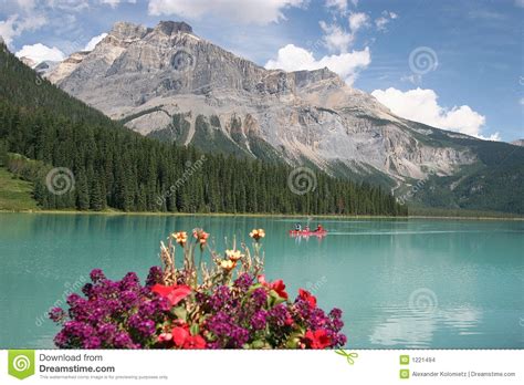 Mountain Lake With Flowers Stock Photo Image Of Postcard