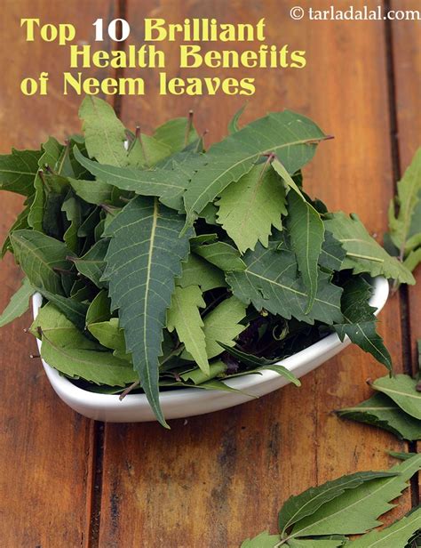 10 Brilliant Health Benefits Of Neem Leaves Nutritional Information