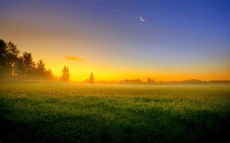 Sky Sun Sunset Moon Night Trees Field Grass Fog Nature