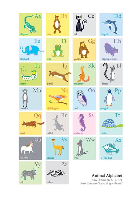Personalised Animal Alphabet Print By Moonglow Art