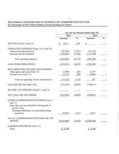 16 Pro Forma Financial Statements Templates In Pdf Doc Xls