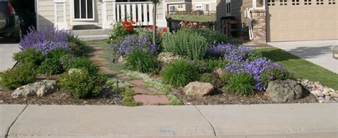 Best Xeriscape Landscaping Colorado Inspirations 2442