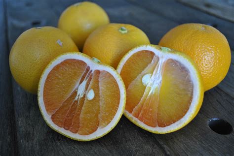 Mango Orange | Fruit Maven