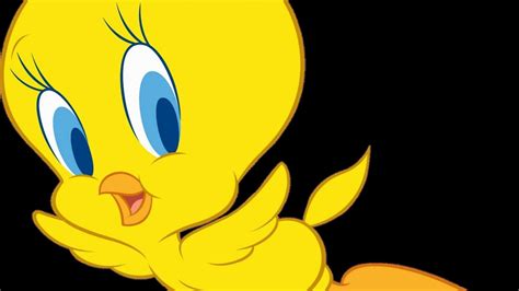 Looney Tunes Tweety Bird Wallpaper 61 Images