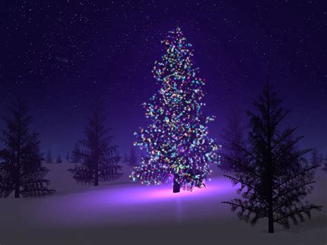 Free Download Wallpaper Christmas Trees Wallpapers 1600x1200 For Your