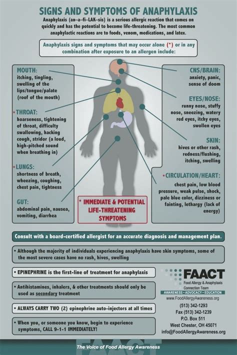 Anaphylaxis Chart By Faact Neferast Anaphylaxis Food Allergies