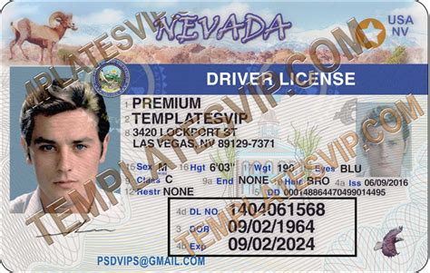 Nevada Nv Drivers License Psd Template Download 2021 Templates