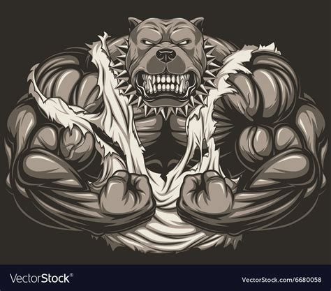 Vector Illustration Of A Strong Pitbull With Big Biceps Bodybuilder