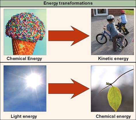 Top 70 Of Example Of Light Energy To Chemical Energy Pjf Jqny5