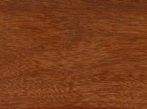 Wood Species Tropical Hardwood Products Suriname Thps