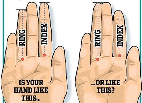 Heres What Your Finger Length Reveals About Your Body Unit Wishwa Karma