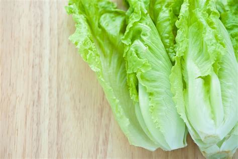 10 Tipos De Lechuga Y Sus Propiedades Nutricionales