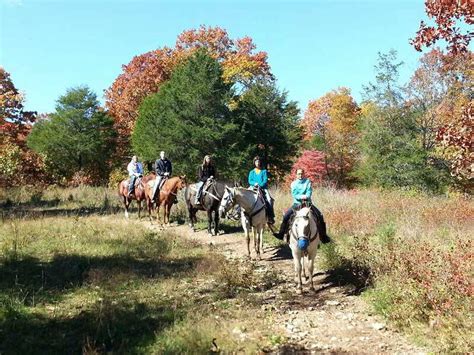 View The Fall Foliage When You Go Horseback Riding In Missouri
