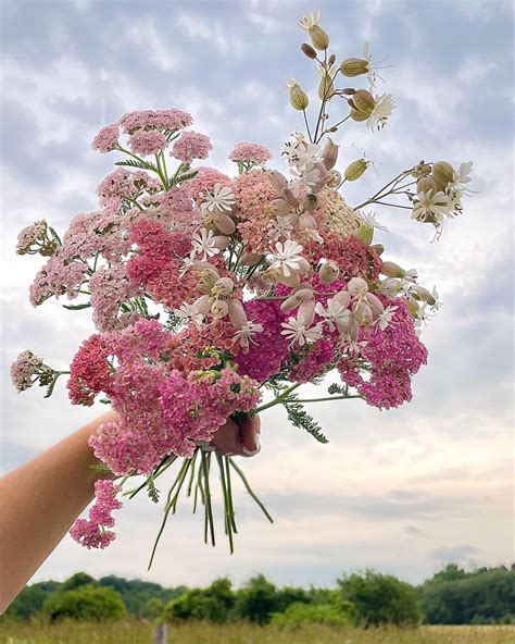 A Hand Holding A Bouquet Of Pink And White Flowers In Front Of A Cloudy Sky