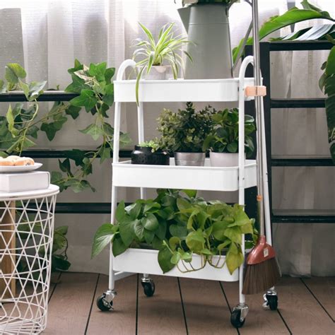 10 Amazing Indoor Plant Stand Ideas For Every Type Of Home Paisley