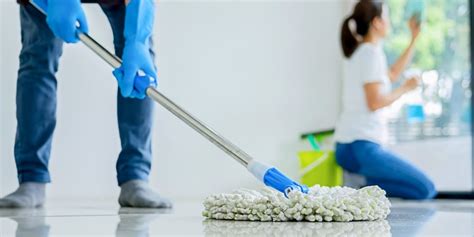 Cleaning Job In Sydney Sydney Sparkling Cleaning Services