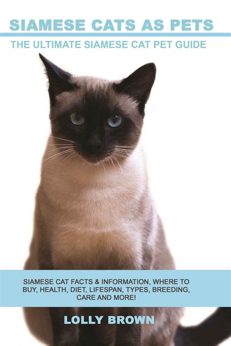 15 Books About Siamese Cats Petpress