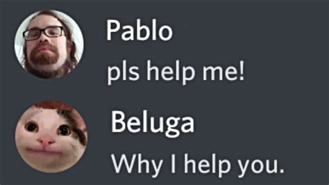 When Beluga Meets Pablo On Youtube Youtube