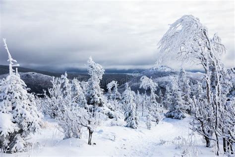 Winter Landscape From Top Of Mountain In Canada Quebec Stock Image