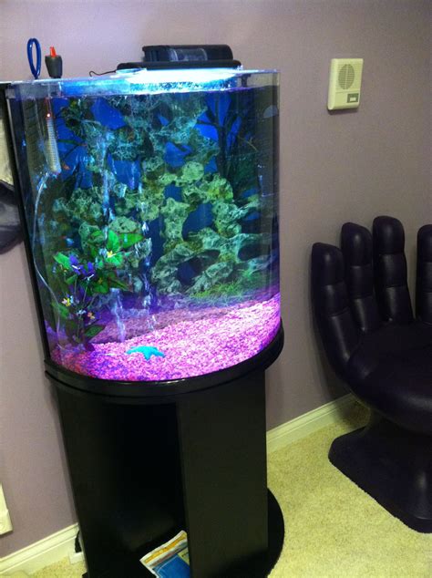 My Half Moon Fish Tank Fish Tank Fish Tank Design Aquarium Fish Tank
