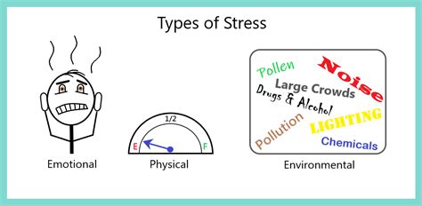 Do You Know The 3 Types Of Stress Relationships Relearned