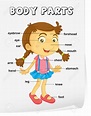 Part of the body clipart 20 free Cliparts | Download images on ...