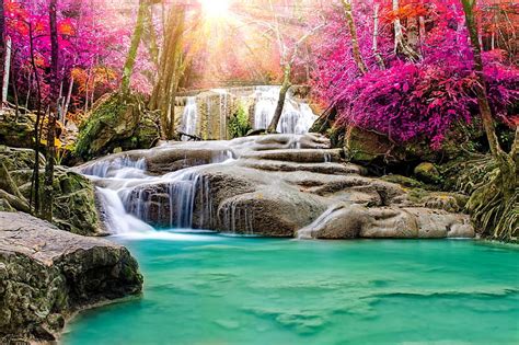 Waterfall In Forest Forest Waterfall Bonito Cascades Trees Hd