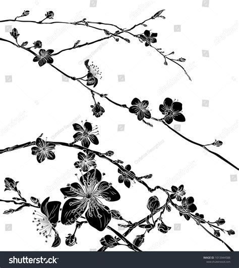 59 White Tree Blossom Chery Stock Vectors Images And Vector Art