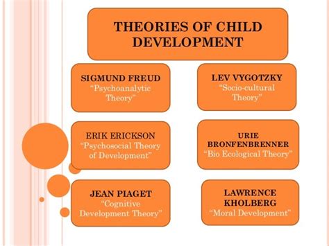 Graphic Organizer About Theories Of Child Development