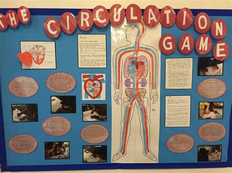 This procedure assumes that you are using a system with at least two interfaces. The Circulation Game - St Mark's C of E Primary School