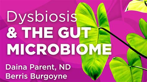 Dysbiosis And The Gut Microbiome Wholisticmatters Podcast Special
