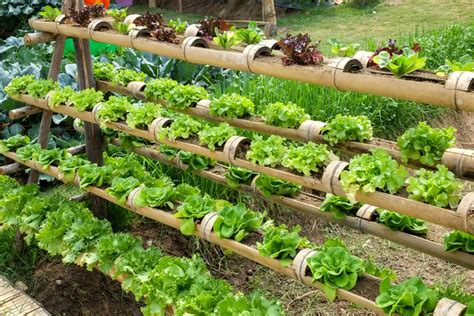 Gardening has seen resurgence in recent years. Verical Garden System: Stacked Up Kitchen Gardening