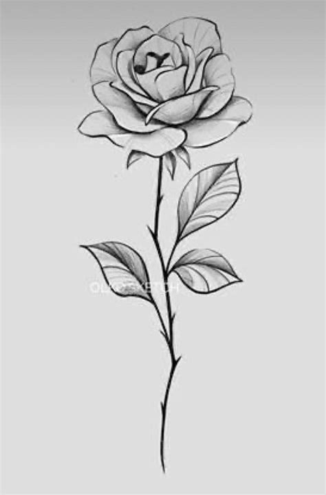 rose stem tattoo rose drawing tattoo rose flower tattoos roses drawing flower tattoo