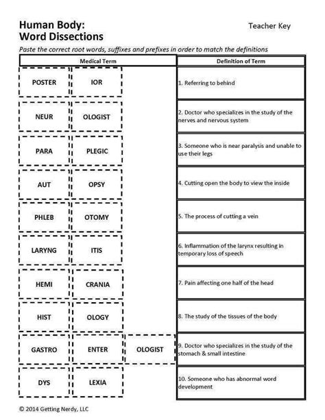 Free Printable Medical Terminology Worksheets Get Your Hands On