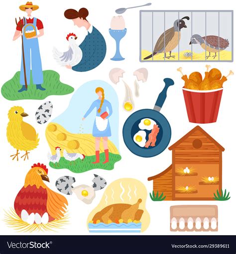 Poultry Farm Chicken Product Eggs And Meat Vector Image