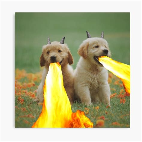 Fire Breathing Dogs Canvas Print By Tsbyg Redbubble