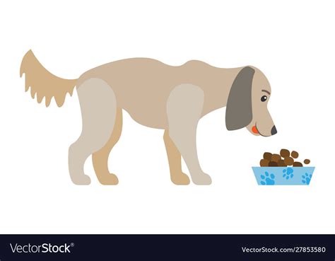 Dog Eating Food From Bowl Isolated Cartoon Canine Vector Image