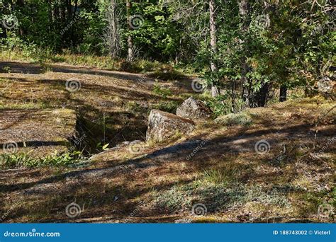 The Nature Of Kareliapanorama Of Karelian Nature Stock Photo Image