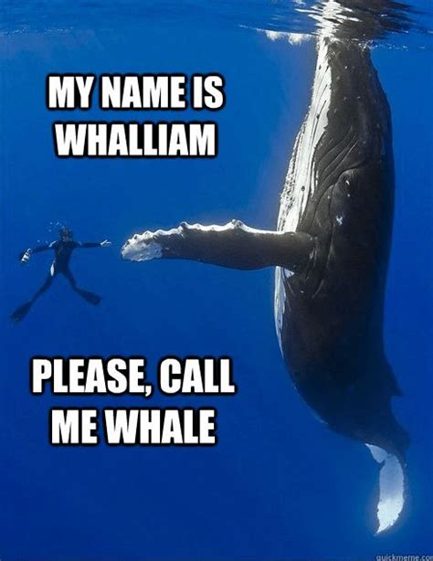 16 Whale Memes That Will Make You Laugh All Day Memes Terrible Jokes