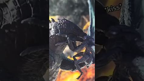 If Godzilla And Mothra Can Kiss First Time Godzillaxmothra Youtube