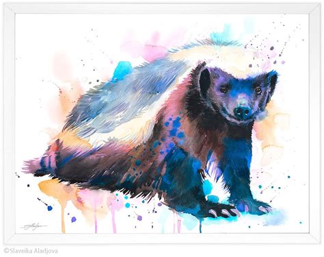 Honey Badger Watercolor Painting Print By Slaveika Aladjova Art