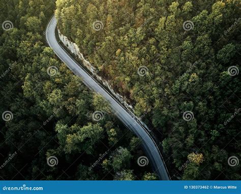 Street Between Autumn Trees In The Forest Aerial Drone View From Above