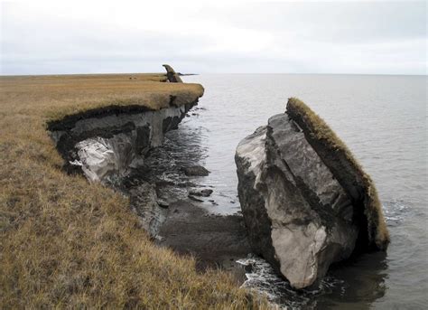 Arctic Coastal Plain Tnc Arctic Tundra