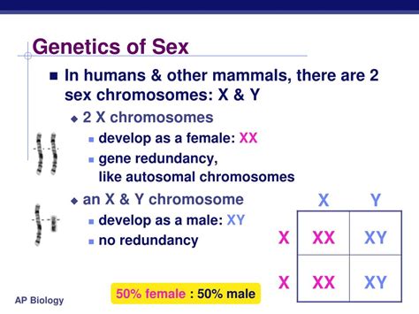 Ppt Sex Linked Traits Powerpoint Presentation Free Download Id5232888