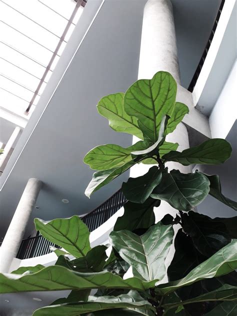Tài liệu hướng dẫn thu thập số liệu người khuyết tật và nhận biết hướng dẫn lấy lại mật khẩu: Bộ Giáo dục và Đào tạo phê duyệt danh mục nhiệm vụ giáo dục bảo vệ môi trường - Trung Tâm Phát ...