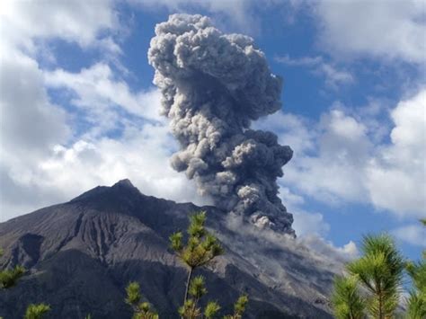 現在、桜島は噴火警戒レベル３（入山規制）です。 桜島で噴火が発生した場合には、１３日２１時から２４時までは火口から西方向、１４日０９時から１２時までは火口から西方向に降灰が予想されます。 定時 降灰予報 （20:00発表）. 桜島噴火 - おでかけ、旅行大好き♪