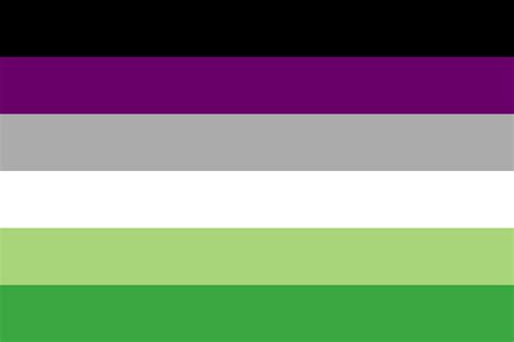 Single And Will Not Mingle — Sharing This Aroace Flag Cause I Kinda